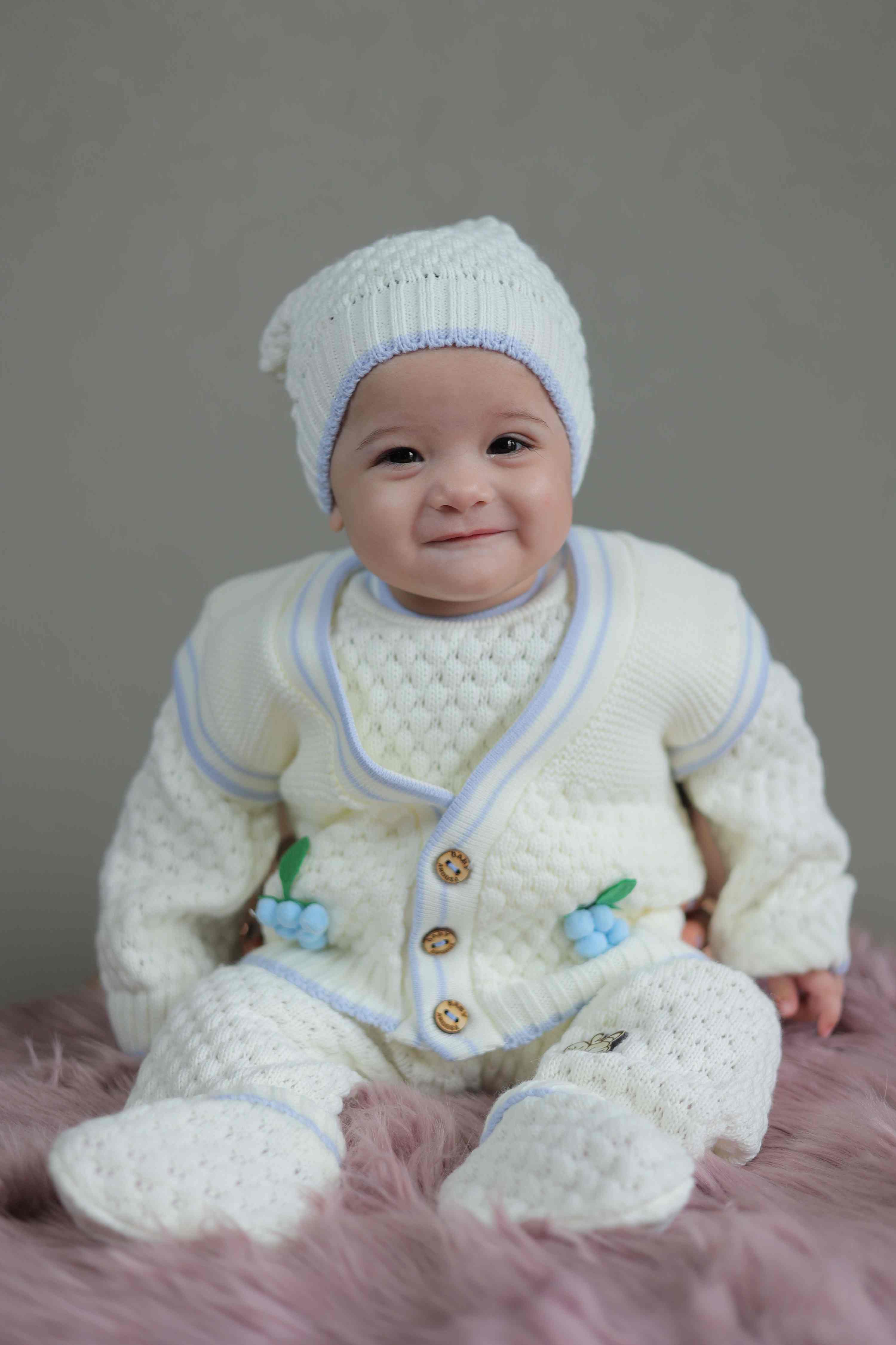 Blueberry Vine Set