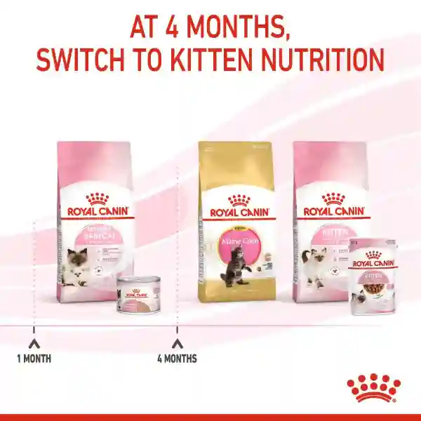Royal Canin Mother & Baby Cat Dry Cat Food