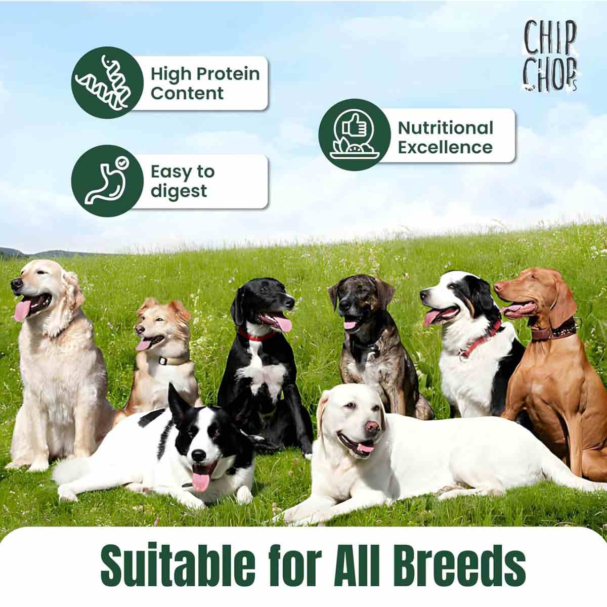 Chip Chops Chicken Donuts Dog Treat - 80 g