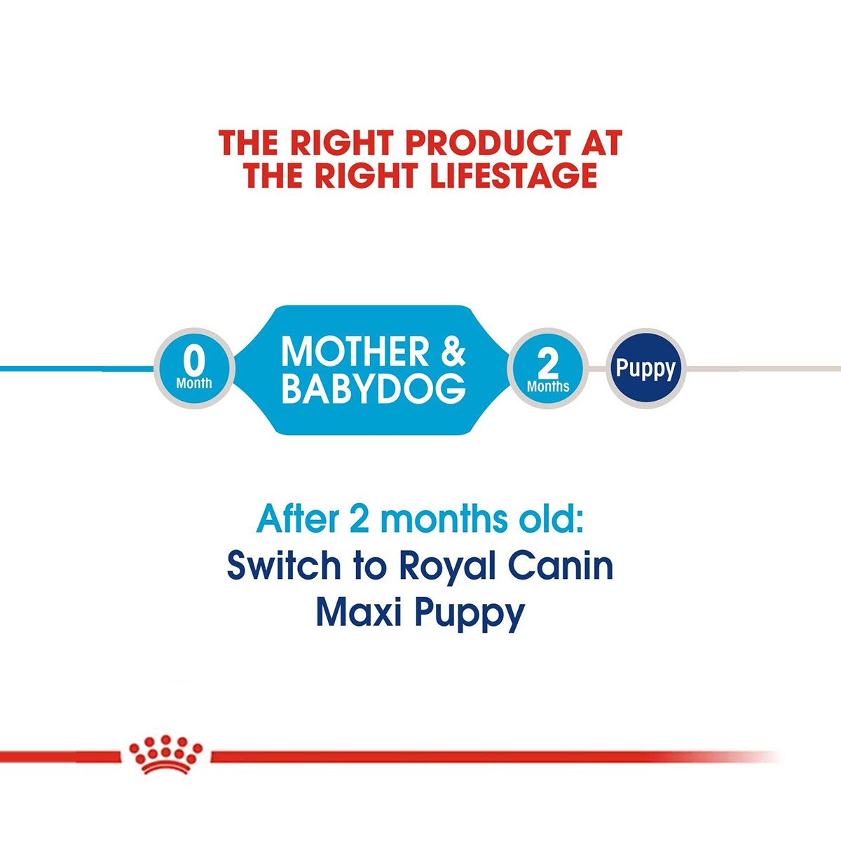 Royal Canin Maxi Starter Dog Dry Food
