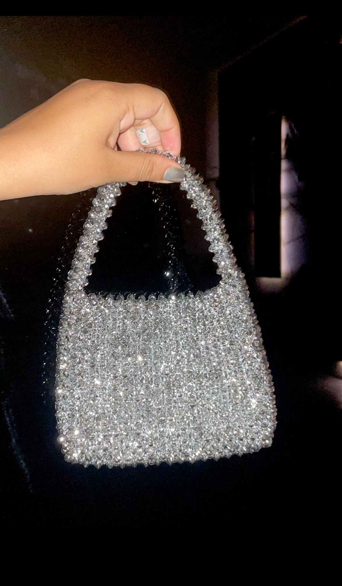 Silver Purse