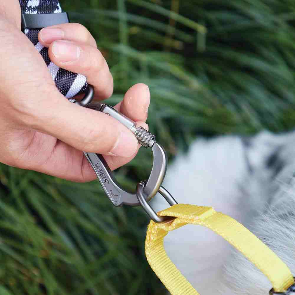 M-Pets Wild Safari Collar for Dogs