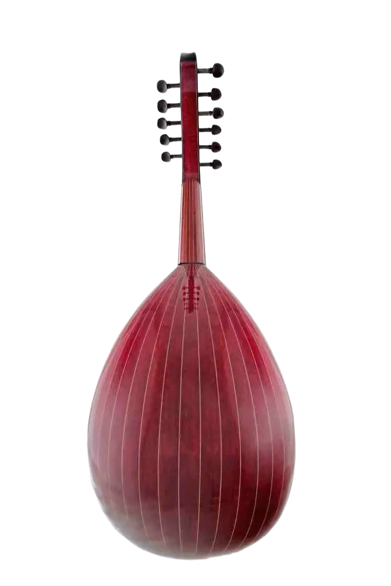 Zeriab C-i0+ Professional Iraqi Oud, 11-String Handcrafted Arabic Lute with Cedar Top