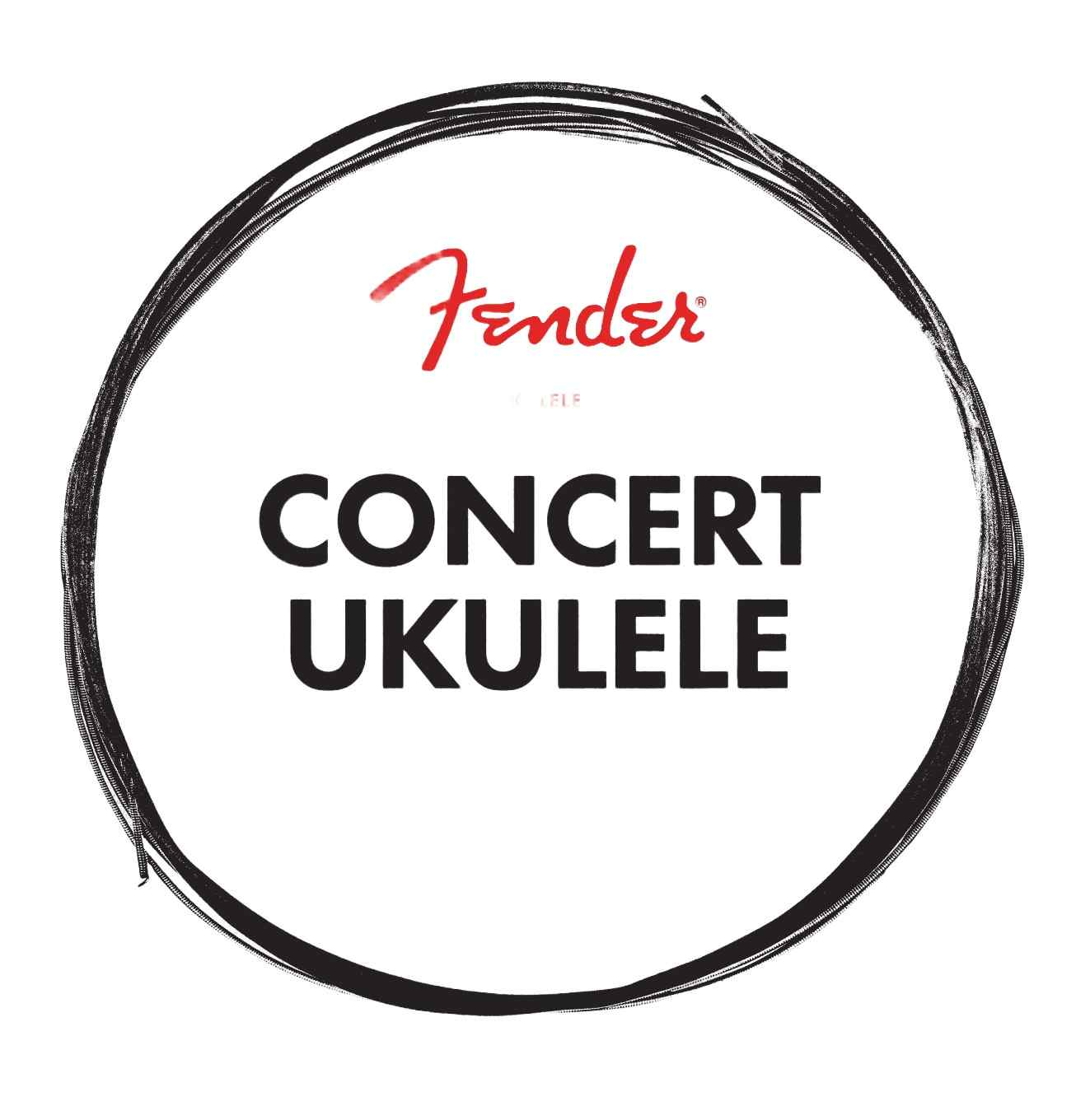 Fender 0730090403 CALIFORNIA COAST CONCERT UKULELE STRINGS 2