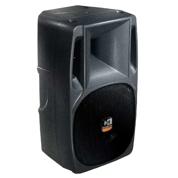 Montarbo NM250 passive speaker
