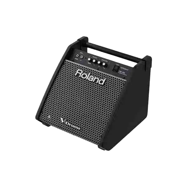 Roland PM-100 - Personal Percussion Monitor 1