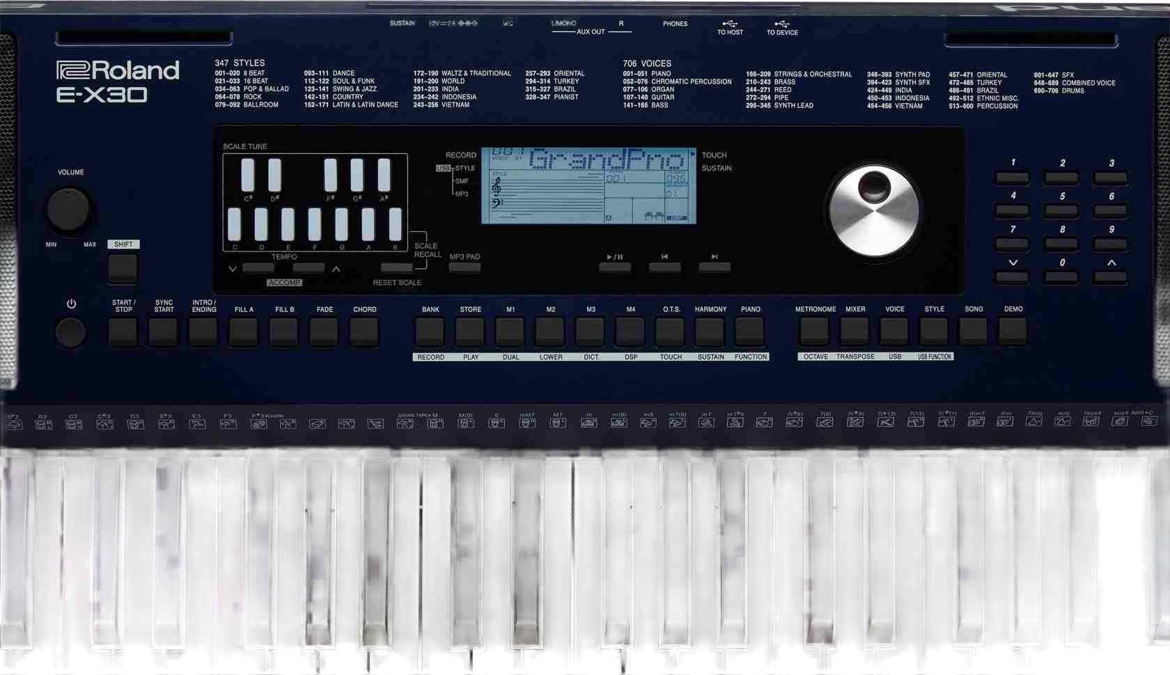 Roland E-X30 Oriental Arranger Keyboard, 61-Key with Arabic Scale and Quarter-Tone Function 9