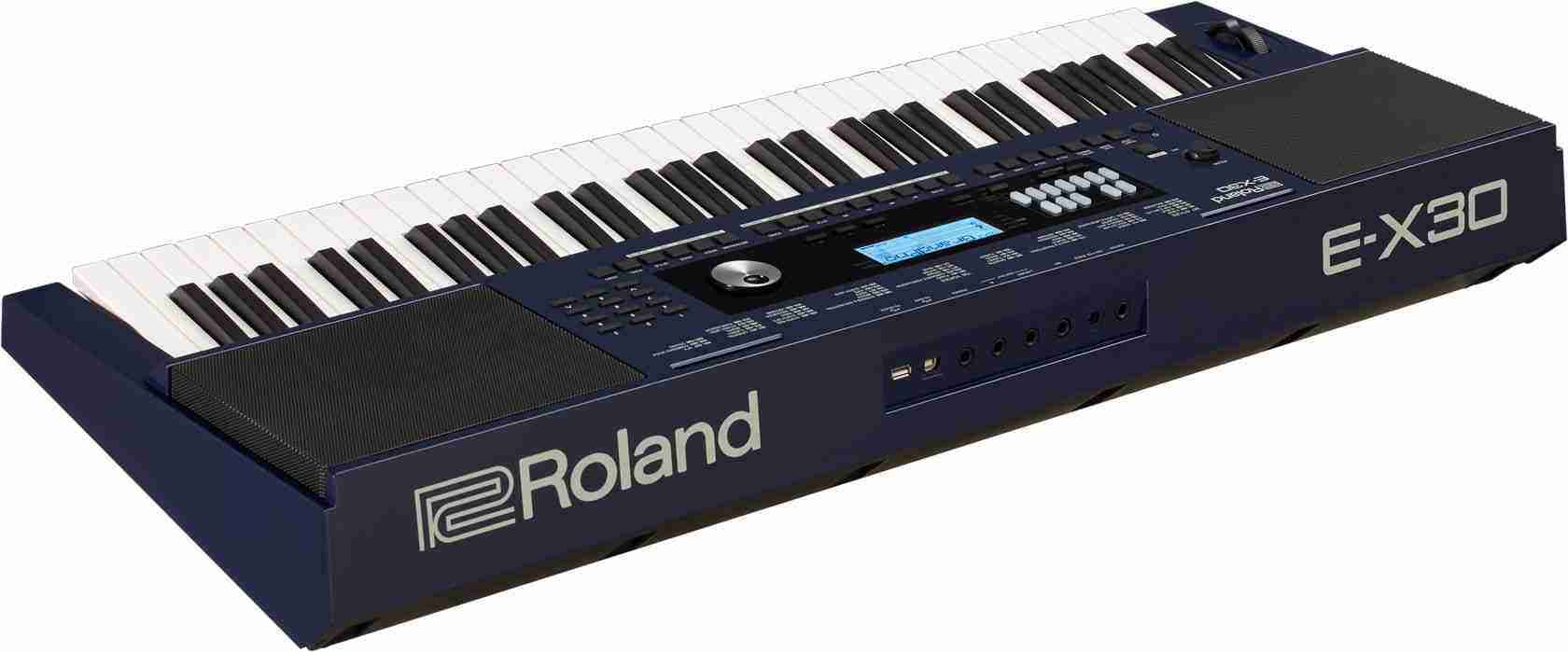 Roland E-X30 Oriental Arranger Keyboard, 61-Key with Arabic Scale and Quarter-Tone Function 6