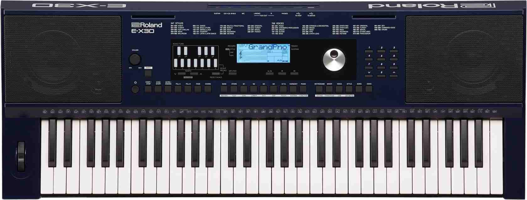Roland E-X30 Oriental Arranger Keyboard, 61-Key with Arabic Scale and Quarter-Tone Function 7