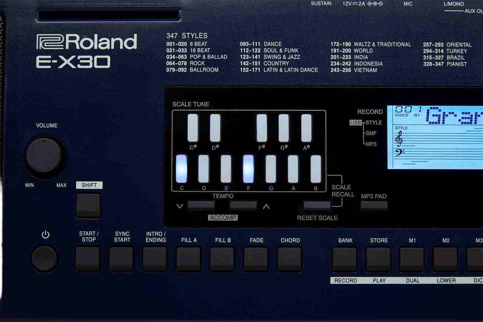 Roland E-X30 Oriental Arranger Keyboard, 61-Key with Arabic Scale and Quarter-Tone Function 8