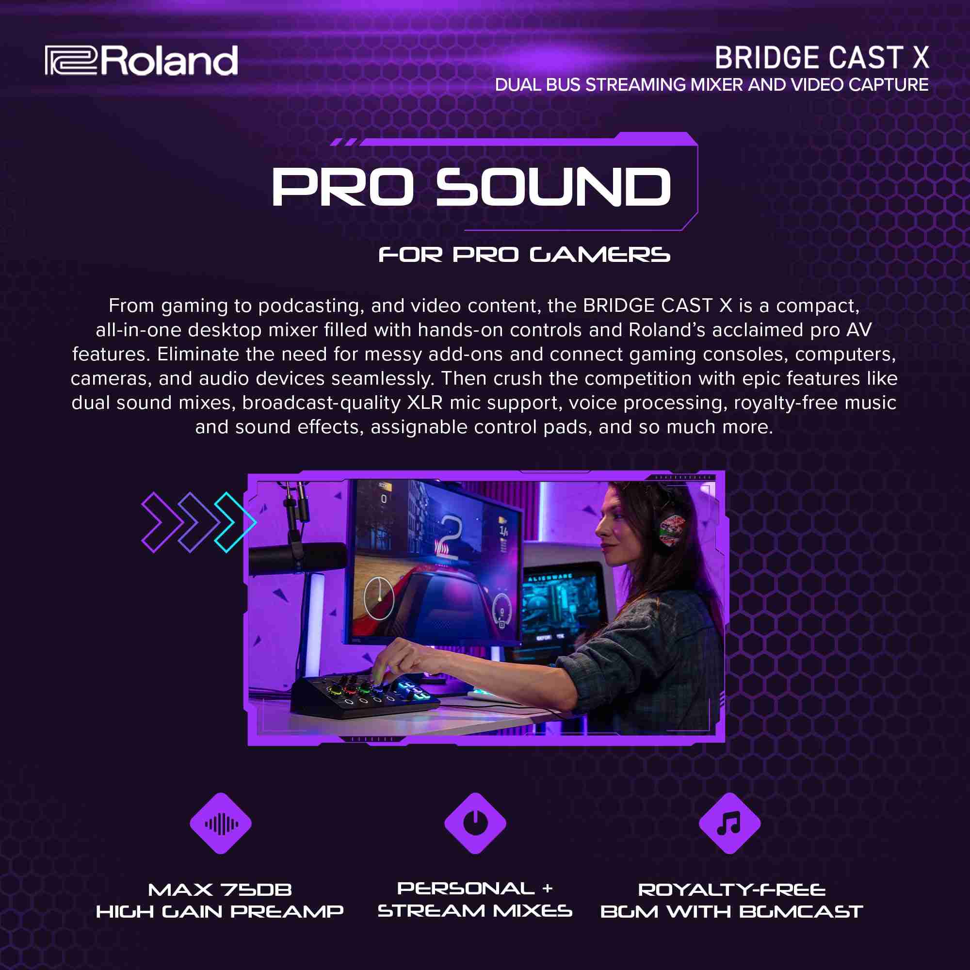 Roland BRIDGE CAST X مازج ألعاب ثنائي المسار وواجهة التقاط فيديو 3