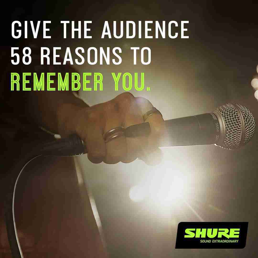 Shure SM58-S Cardioid Dynamic Vocal Microphone with On/Off Switch 3