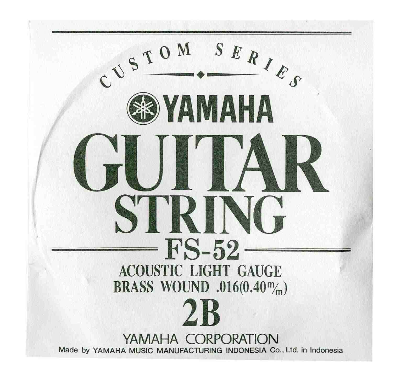 Yamaha FS-5200 Guitar String 2