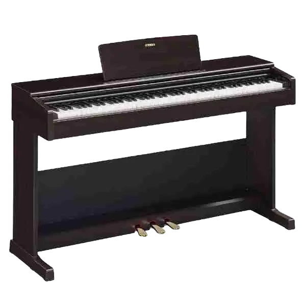Yamaha YDP-105 Arius 88-Key Weighted Digital Piano with Bench, Dark Rosewood