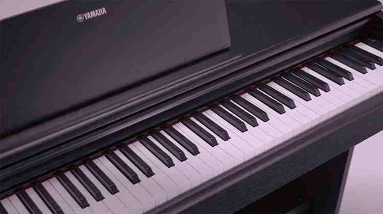 Yamaha YDP-145 Arius 88-Key Weighted Digital Piano with Bench, Black 5