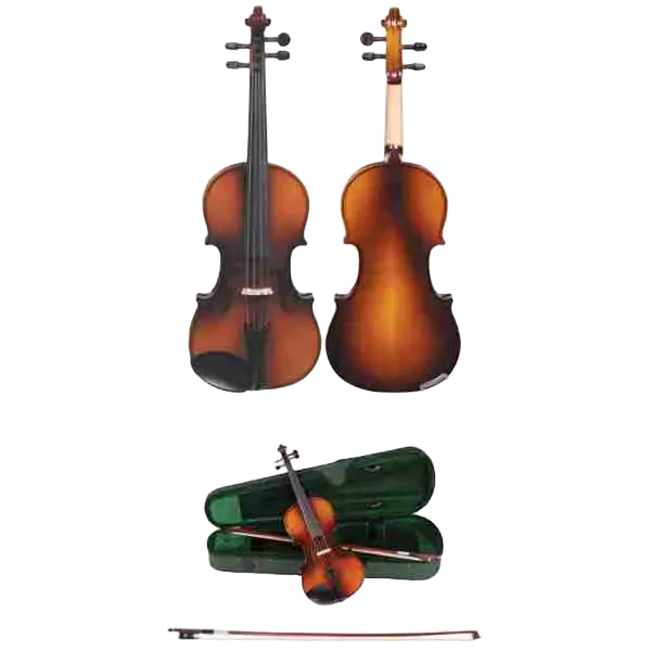 JHS Acv31 Student Acoustic Violin for Beginners