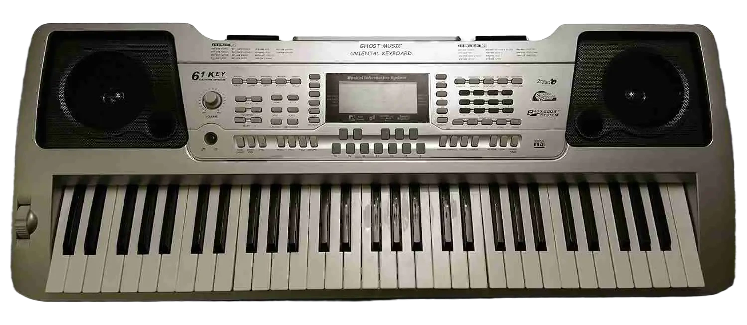Unistar LP6110E Oriental Keyboard with 61 Touch-Sensitive Keys and Arabic Quarter-Tone Scales
