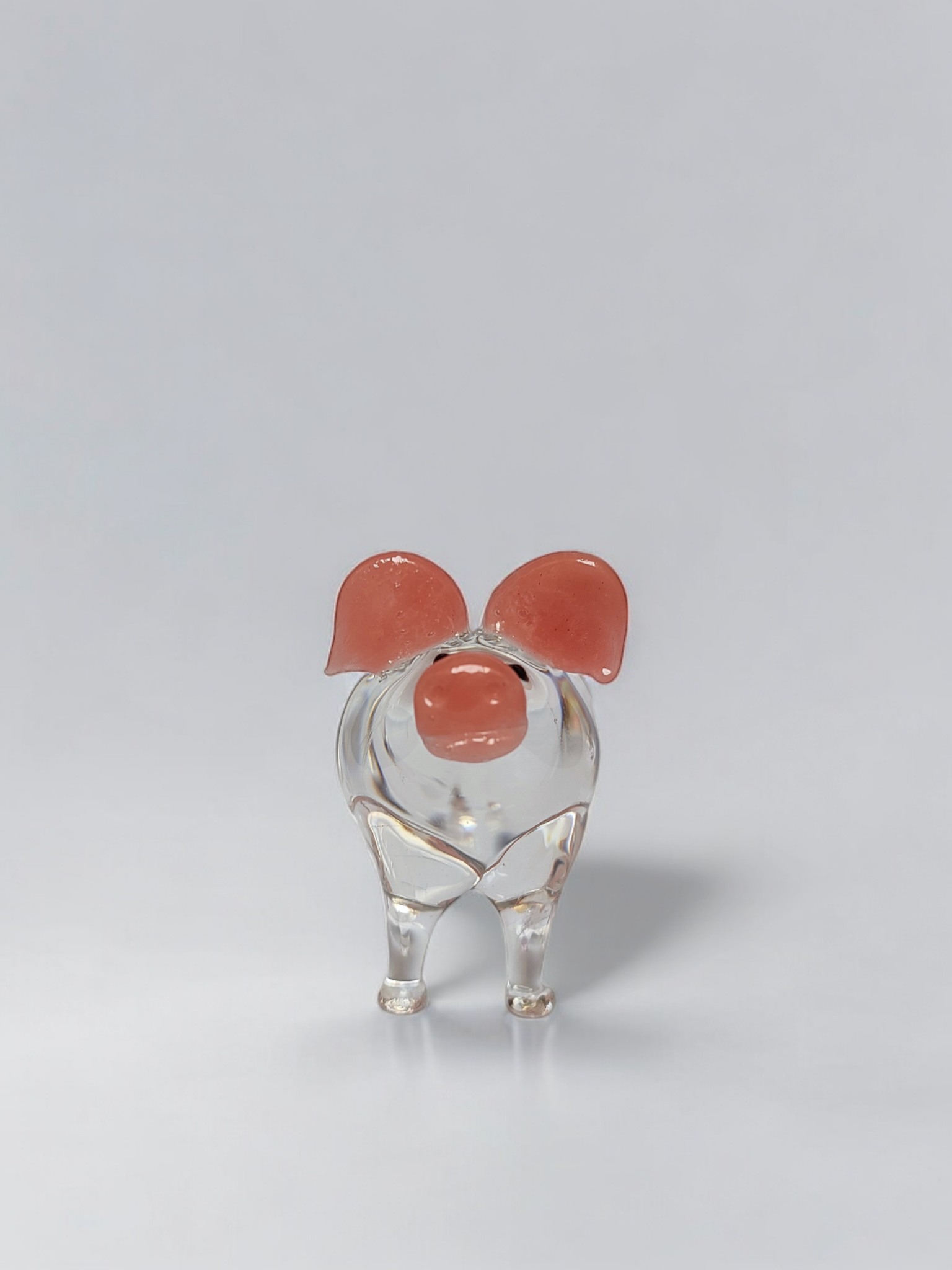 pig