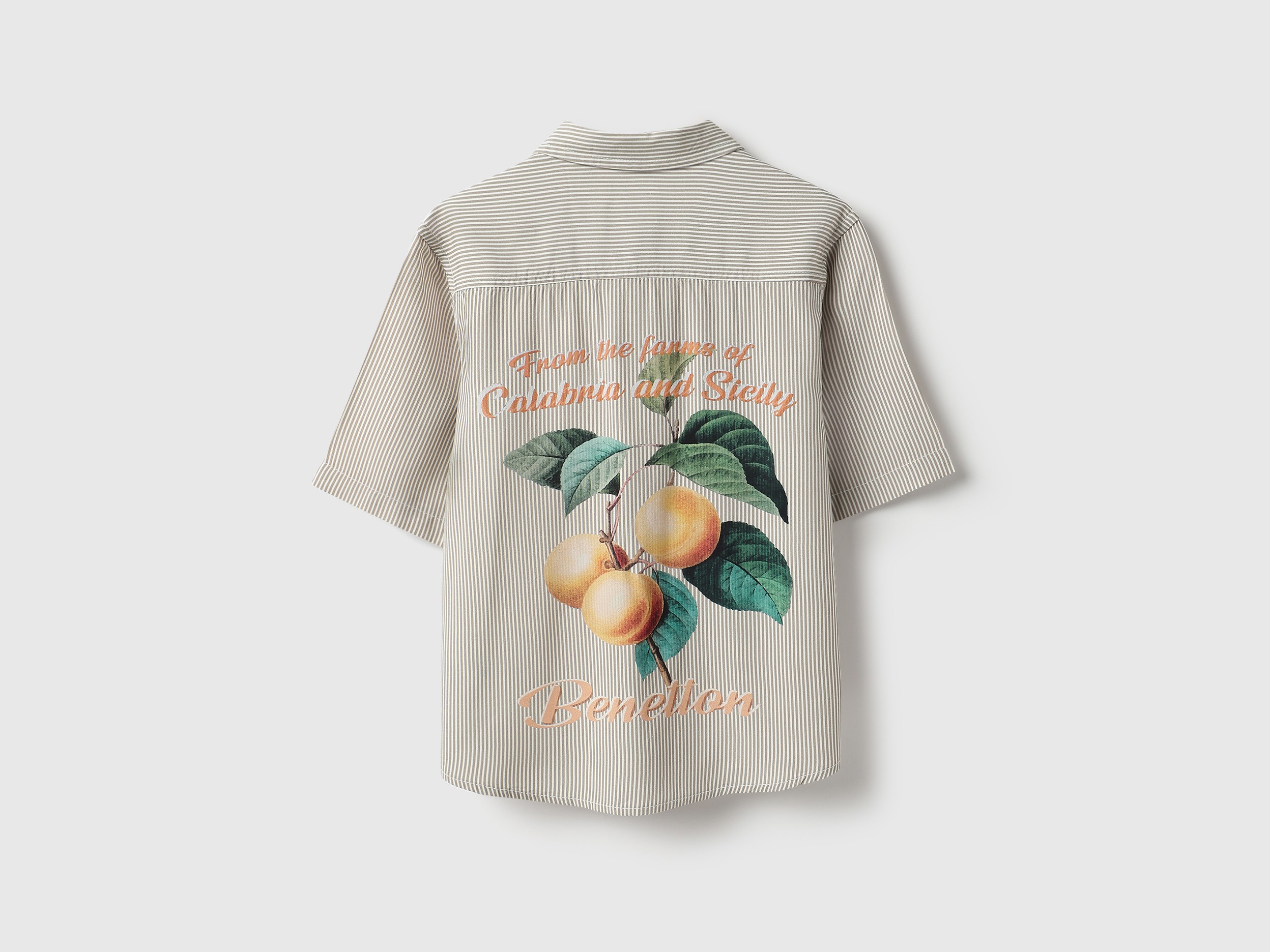 United Colors of Benetton Regular Fit Spread Collar Fruit Farm Striper Shirt