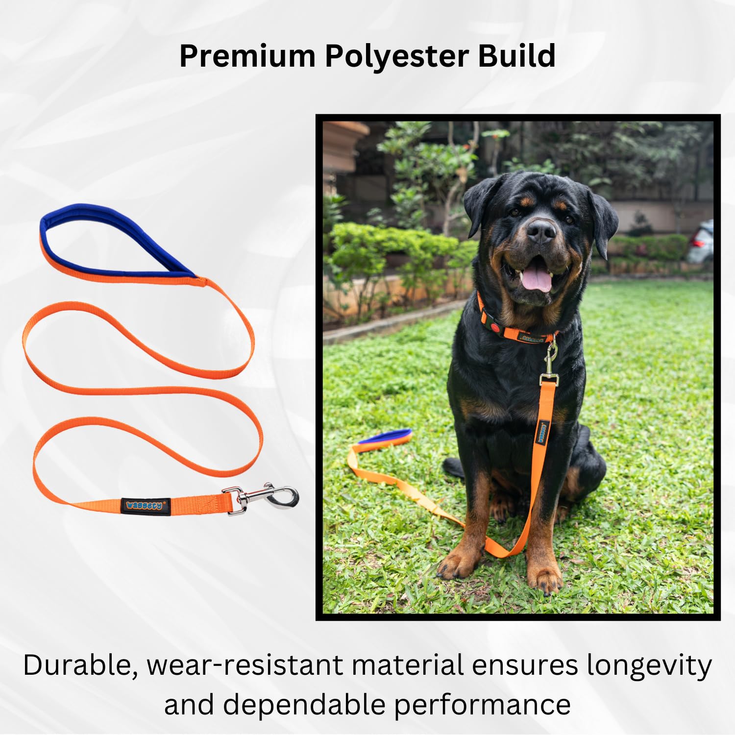 Waggety Dog Leash, Orange