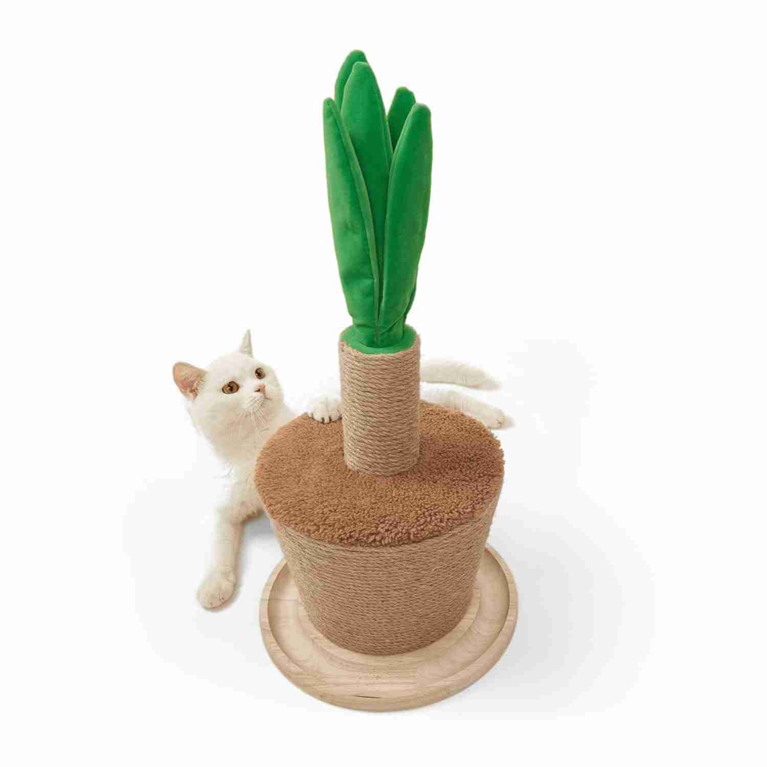 Barkbutler Fofos Pot Plant Cat Scratcher