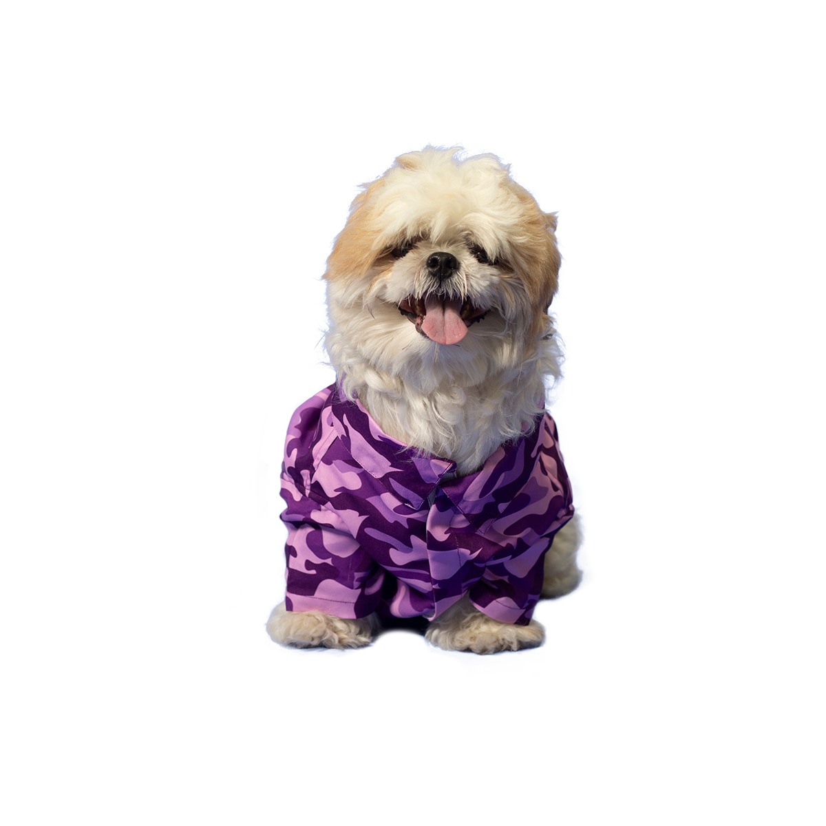 Ezra Polyester Blend Dog Shirt - Military