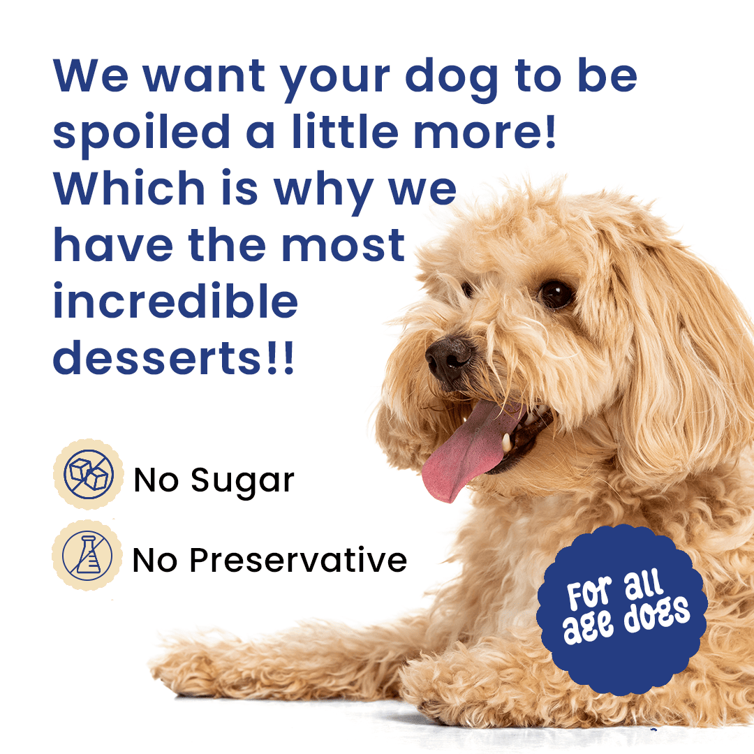 Casper Pancake Mix Banana Flavour Dog Treat - 250g