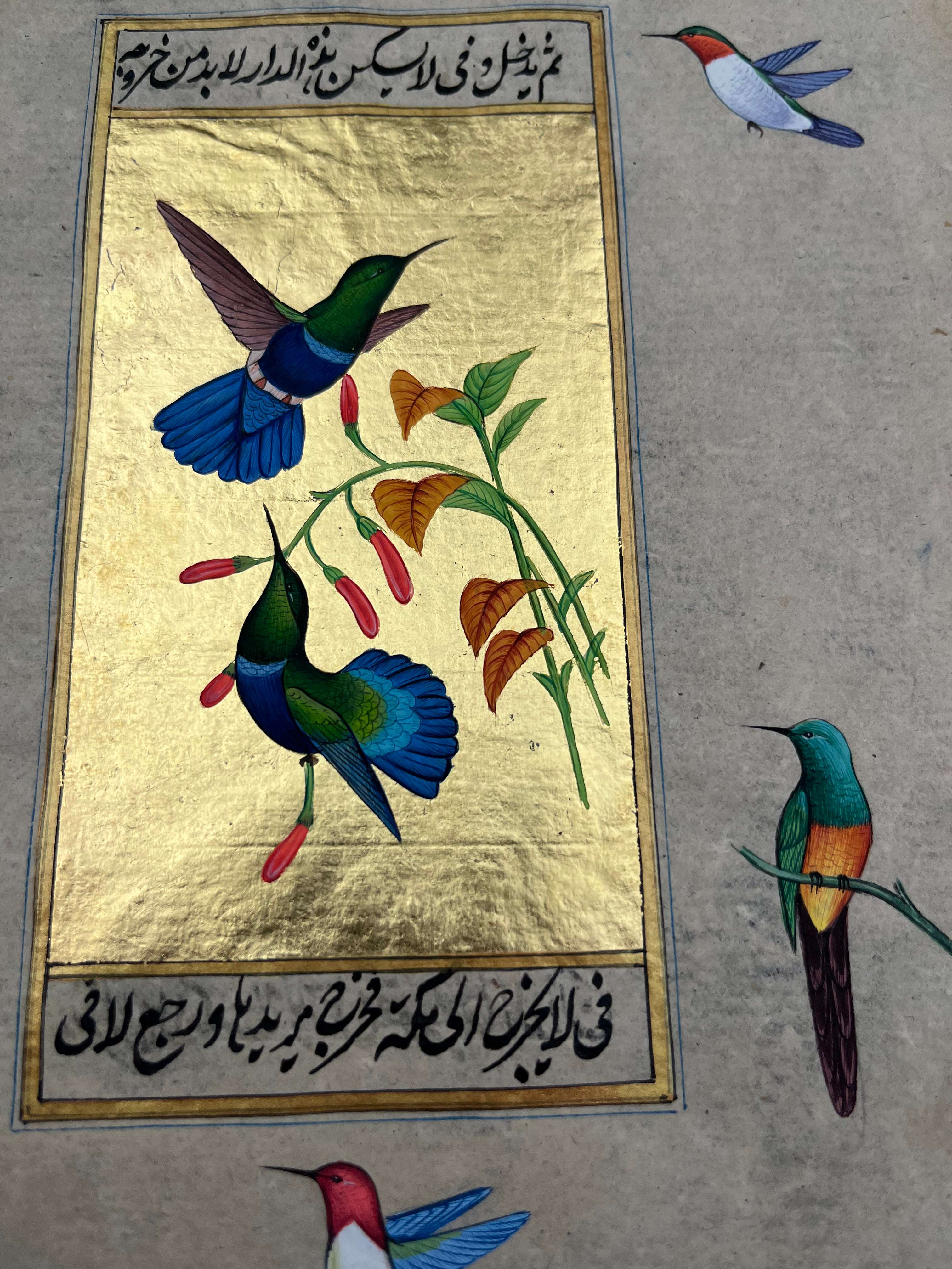Humming Bird Miniature Painting