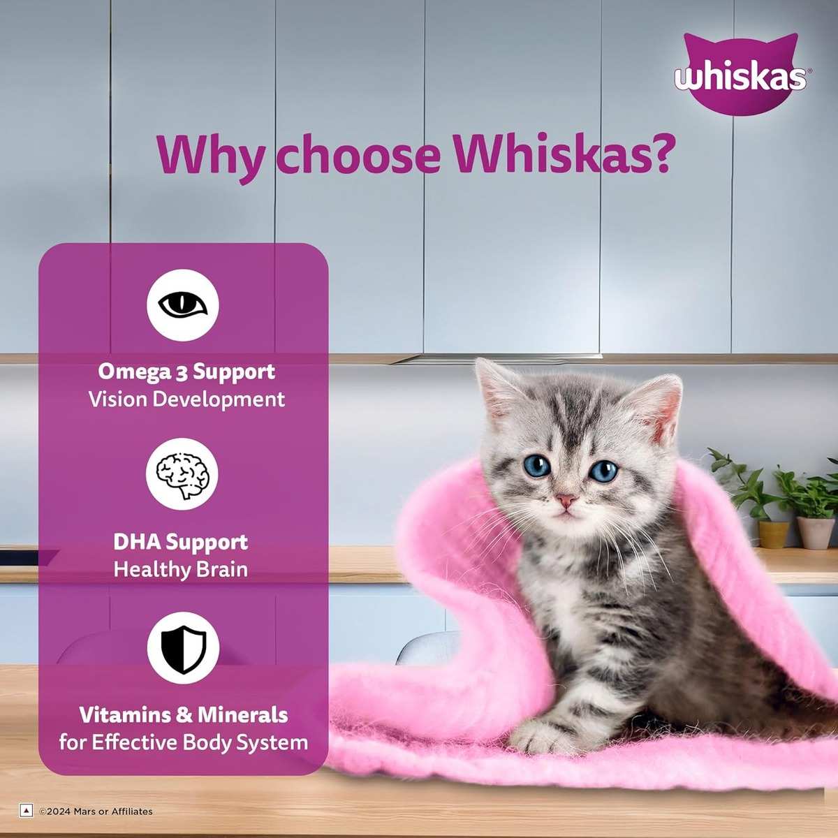 Whiskas Mackeral in Jelly Wet Kitten (2-12 months) Food, 80g