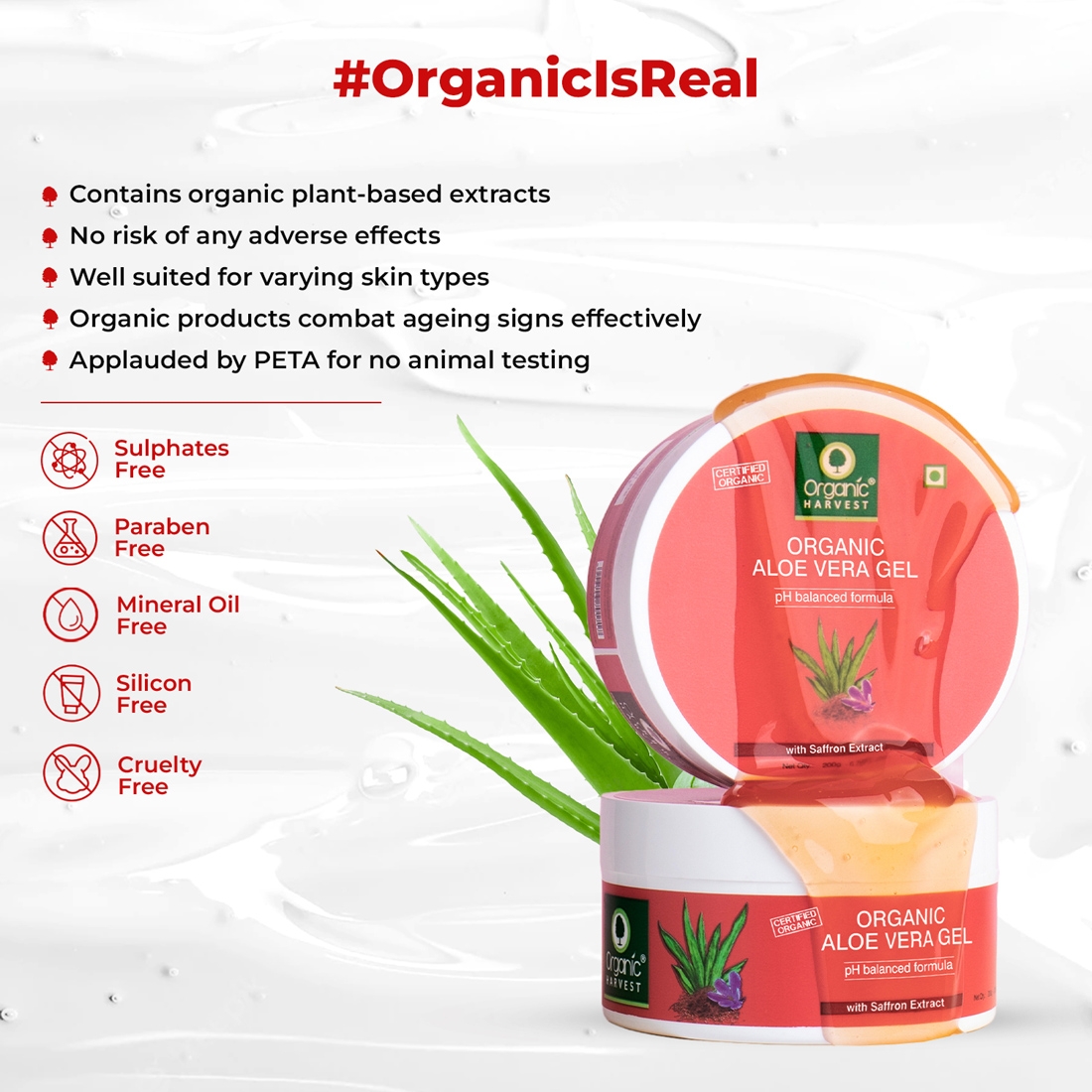 Organic Harvest | Organic Harvest Aloe Vera Gel Enriched with 100% Pure Aloe Vera Leaf & Saffron Extracts, for Skin And Hair, Paraben Free - 200gm 2