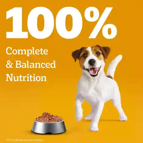 Pedigree Puppy Chicken & Liver Chunks In Gravy Wet Dog Food 490g