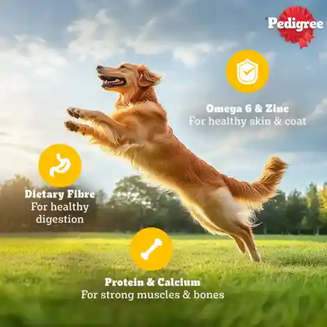 Pedigree Adult Chicken & Liver Chunks In Gravy Wet Dog Food 490g