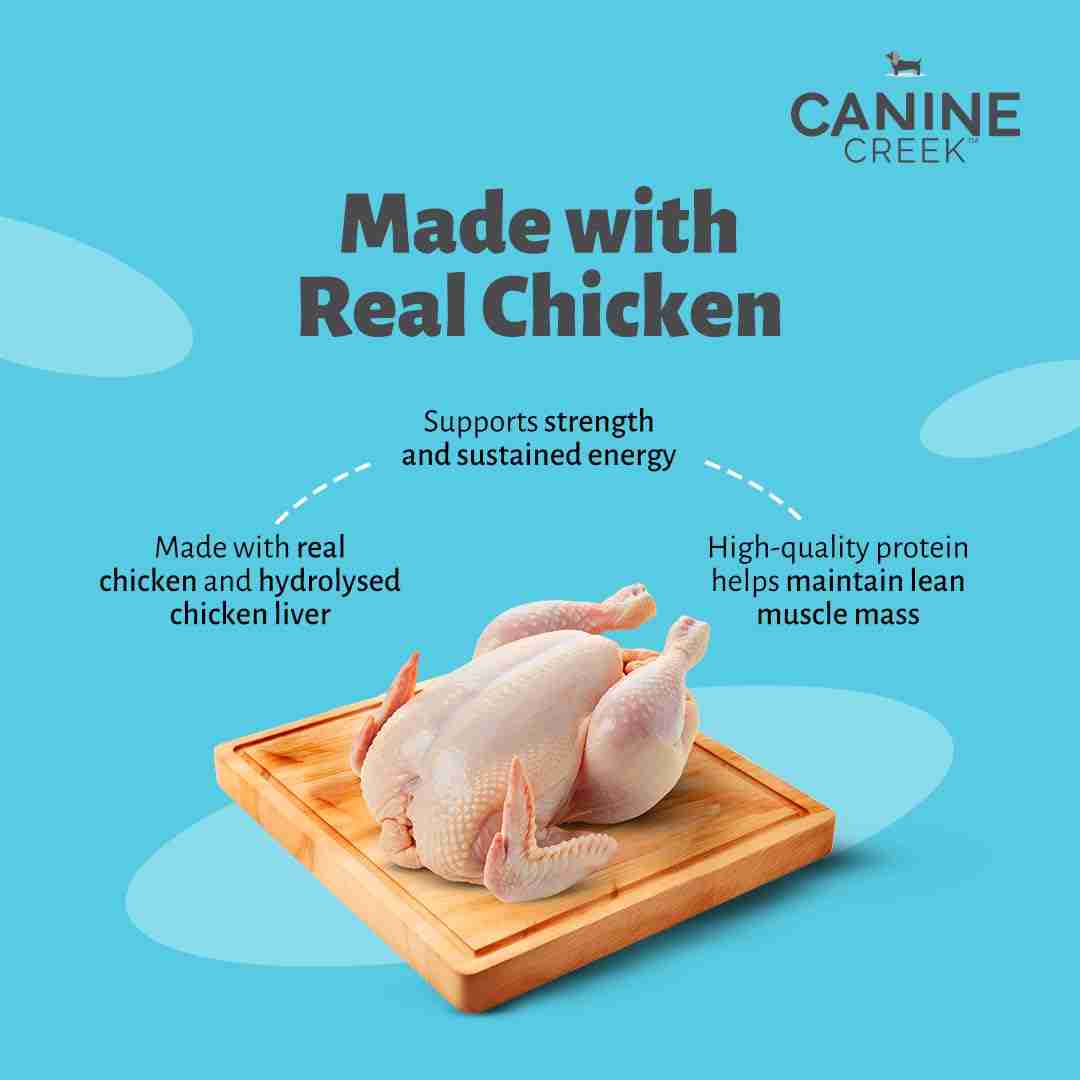 Canine Creek Real Chicken Gravy Adult Dog Wet Food