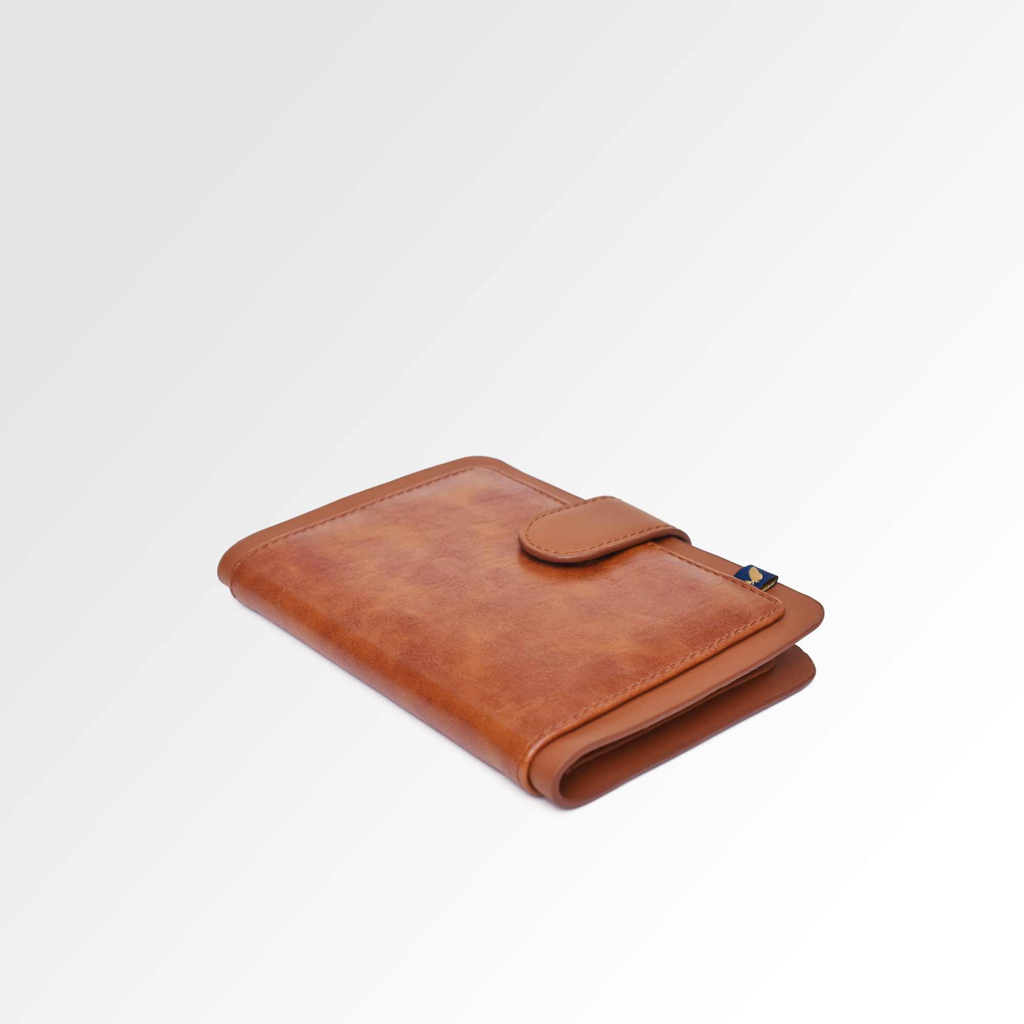 Passport Holder | Moderno | Tan