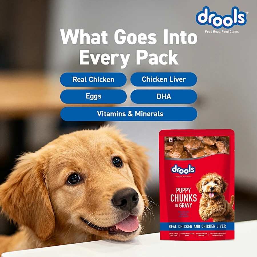 Drools Real Chicken & Liver Chunks In Gravy Wet Food For Puppy, 60g