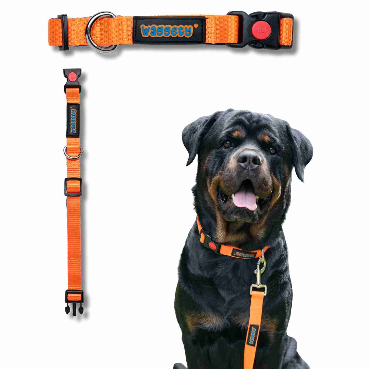 Waggety Padded Dog Collar, Orange
