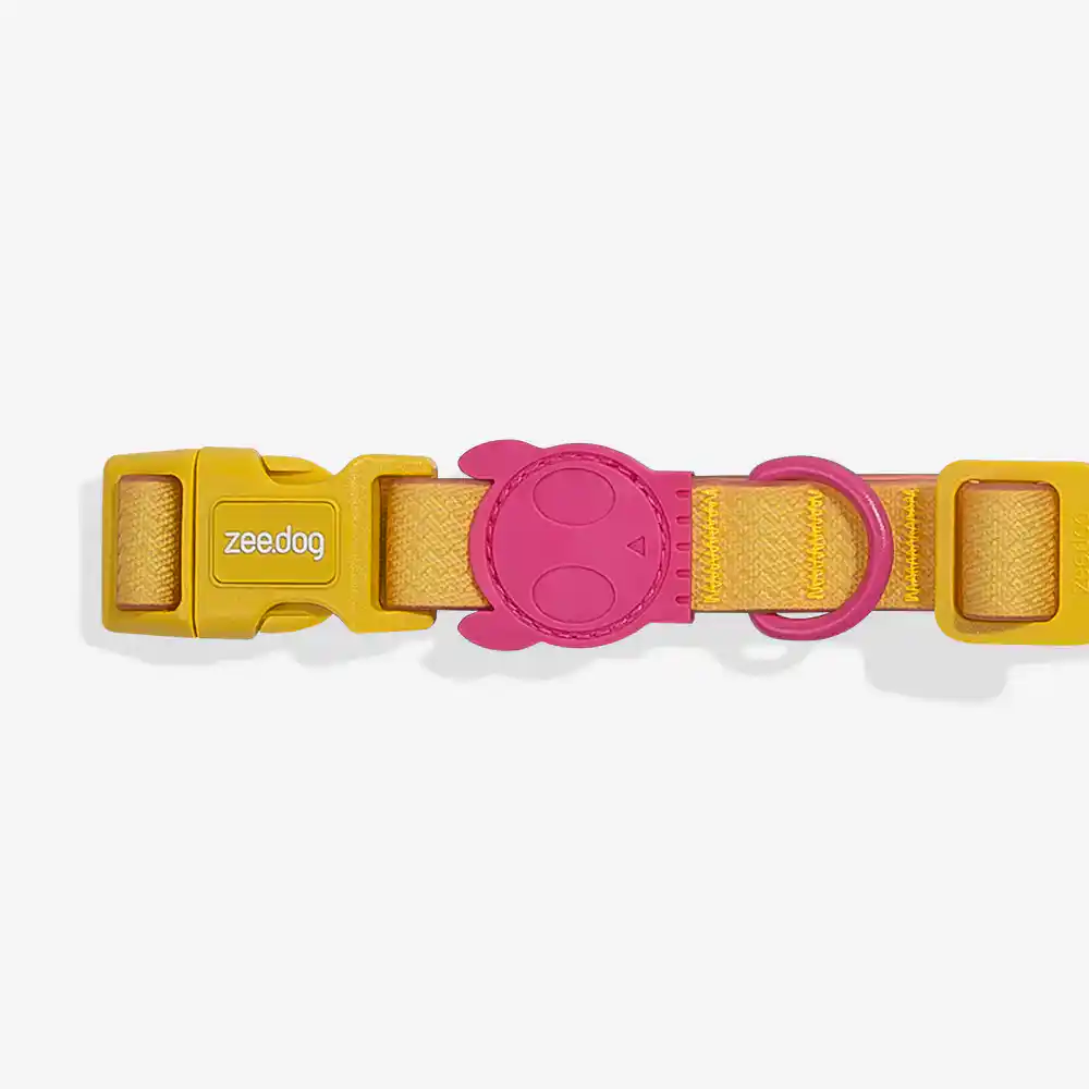 Zee Dog Neopro Lyra Collar For Dogs