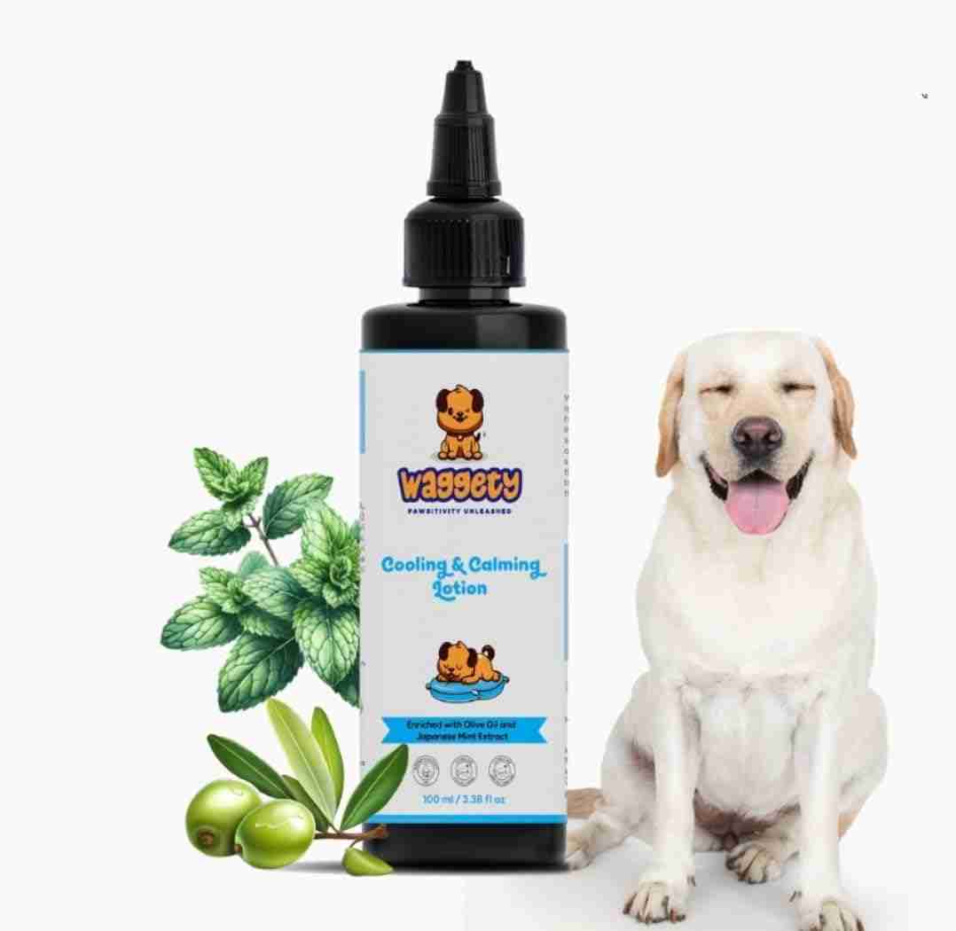 Waggety | Waggety Cooling & Calming Lotion for Dogs, 100 ml
