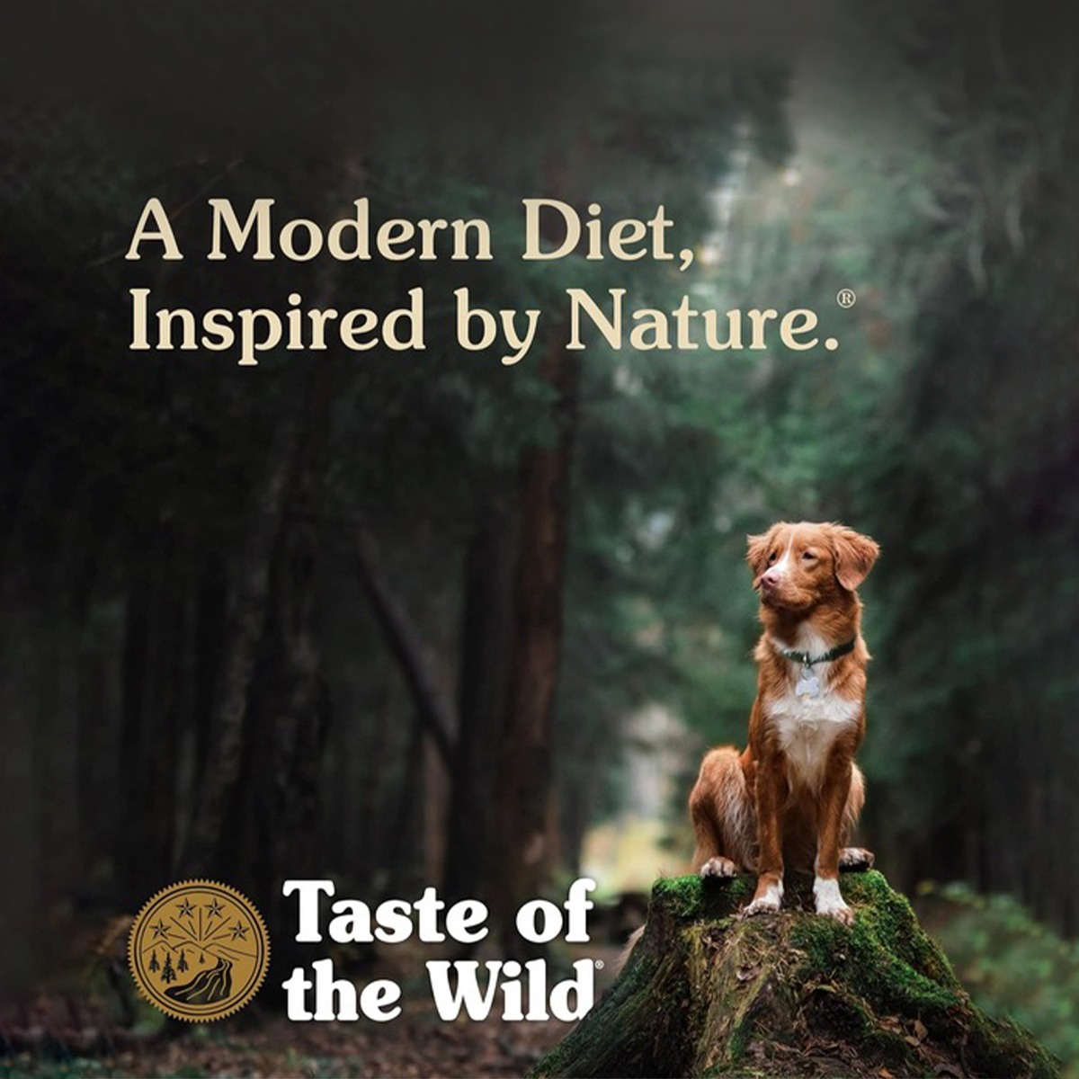 Taste of Wild Pacific Stream Canine Adult (Smoked Salmon) Dry Dog Food - 12.2KG
