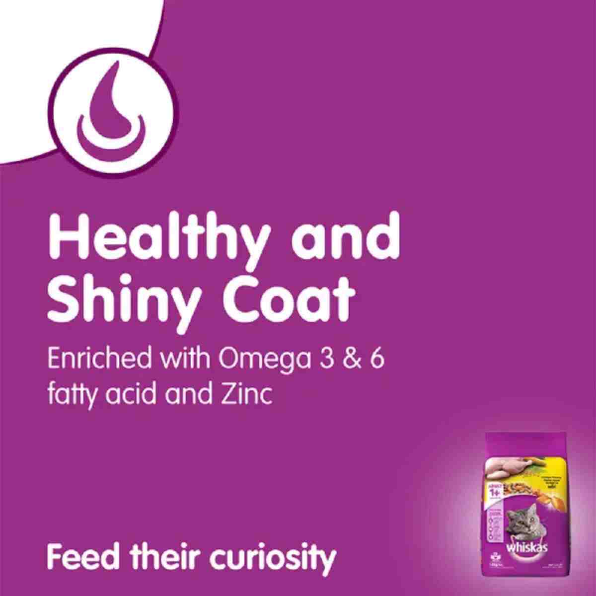 Whiskas Chicken Flavour Adult (+1 year) Dry Cat Food