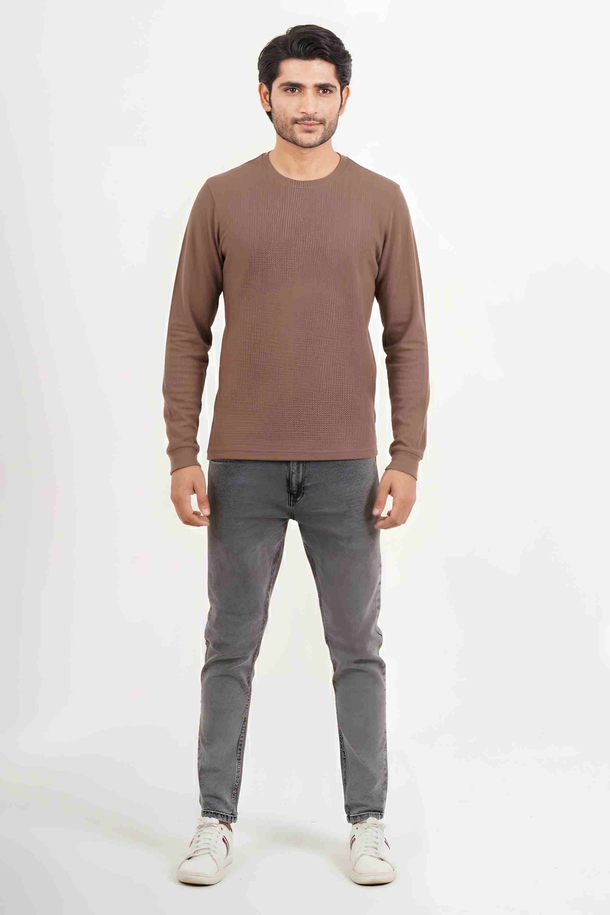 Solid Blended Fabric Regular Fit Men Sweatshirt