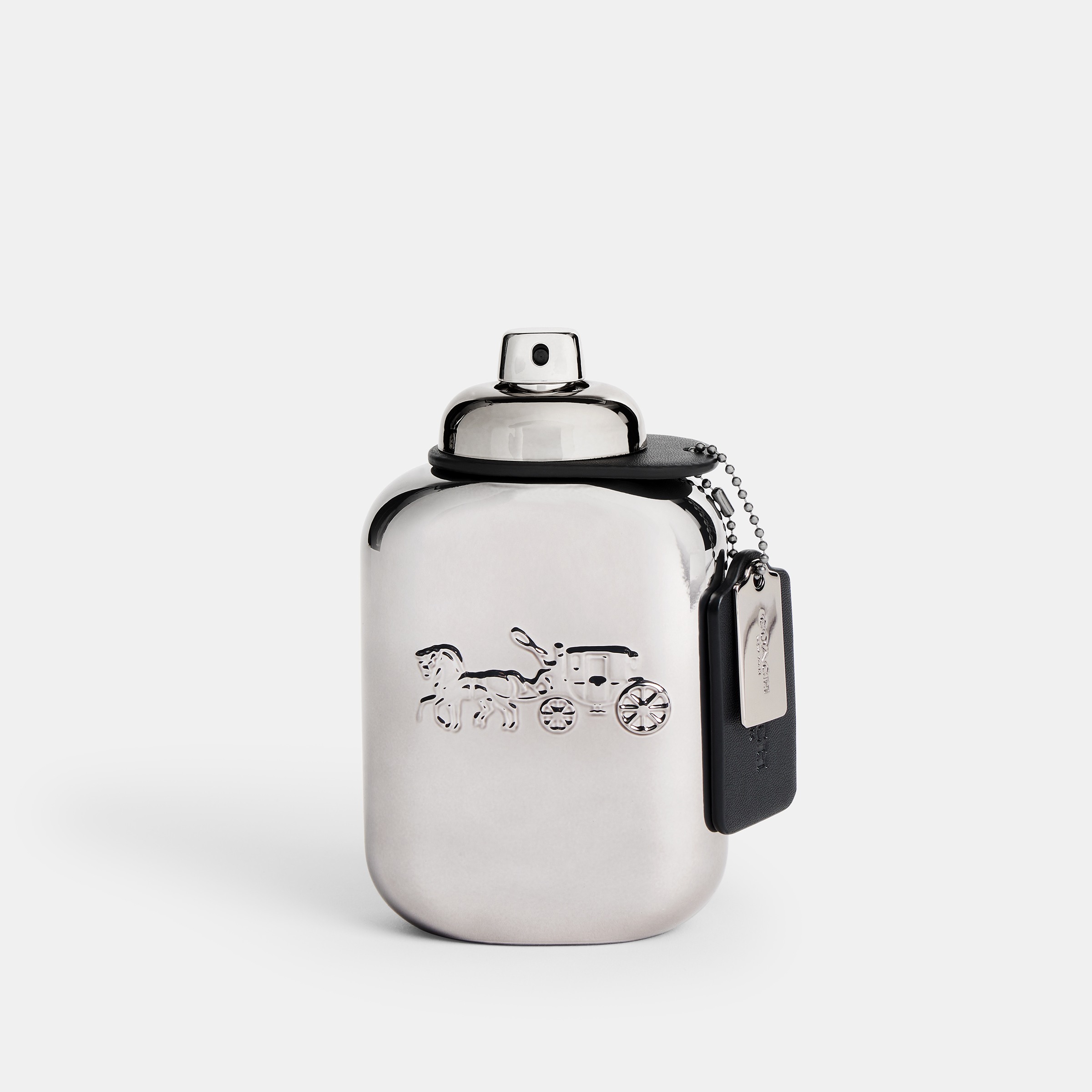 Pure Platinum Eau De Parfum 100ml