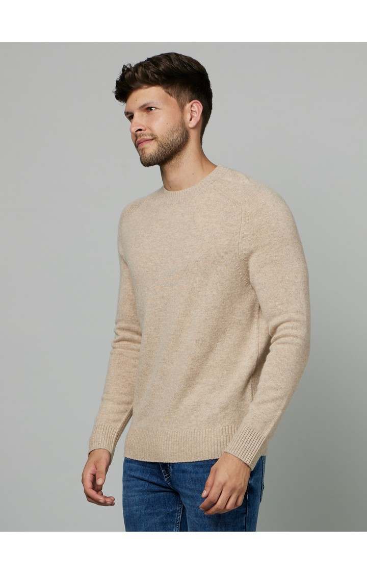 Men's Beige Solid Sweaters