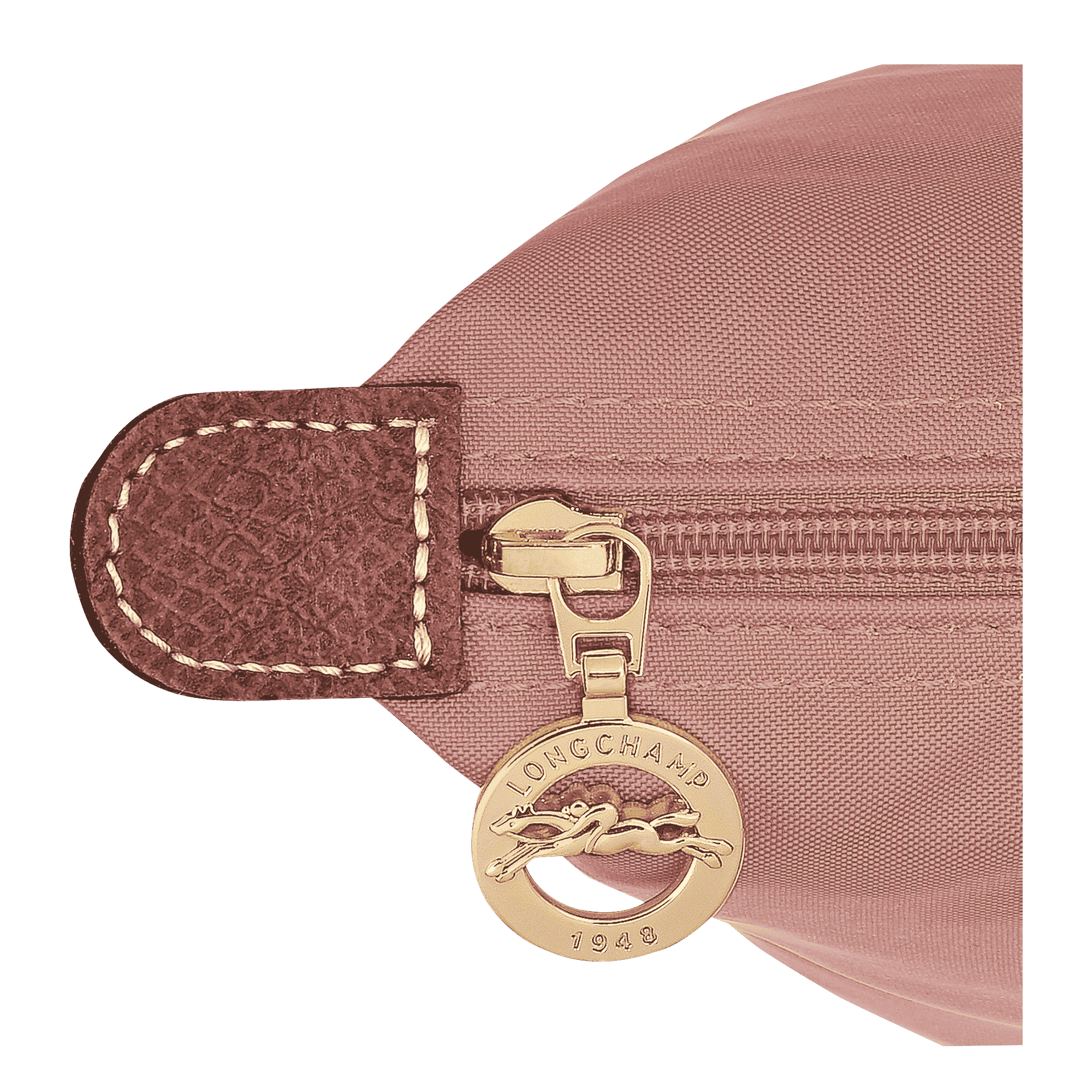 Le Pliage Original M Backpack