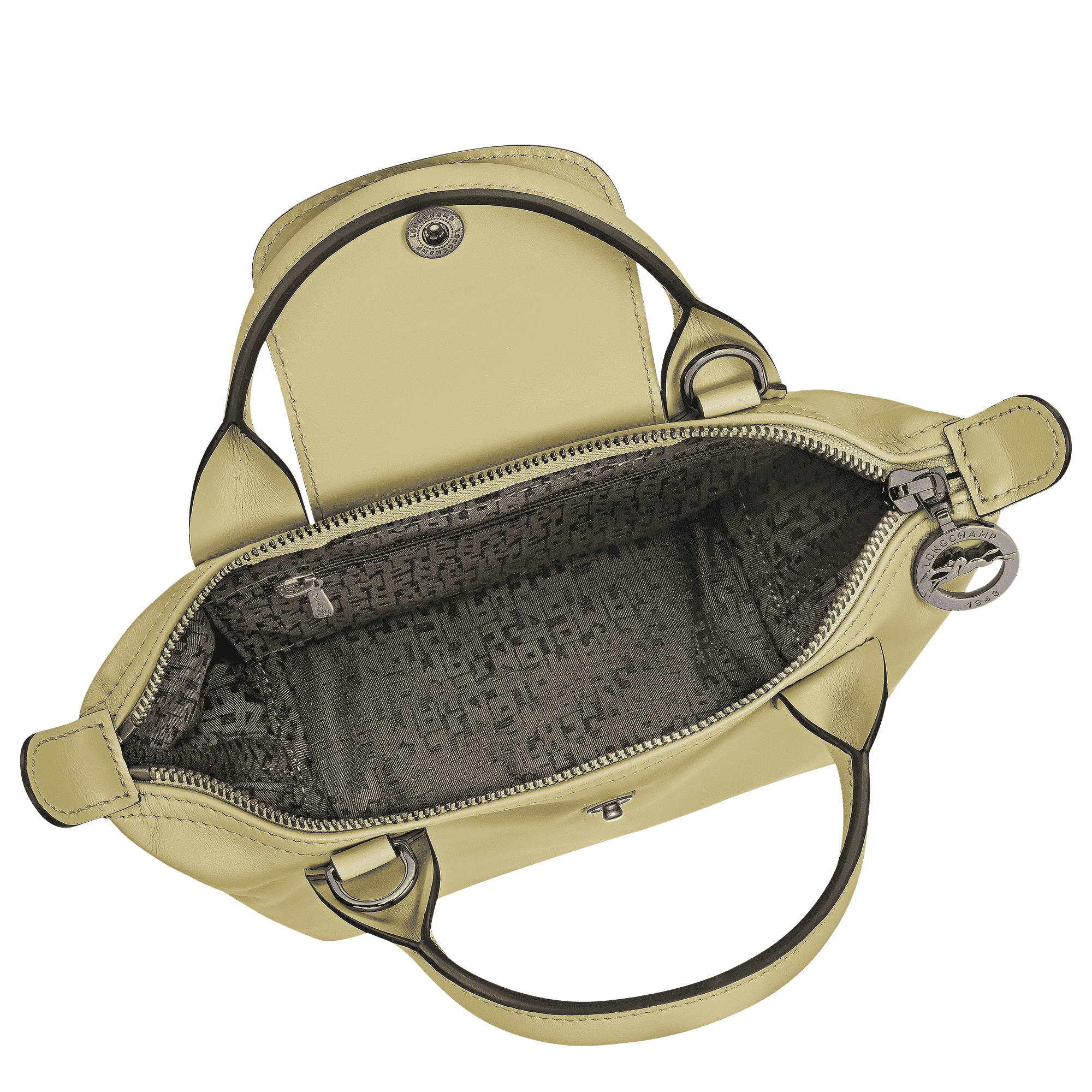 Le Pliage Xtra XS Handbag