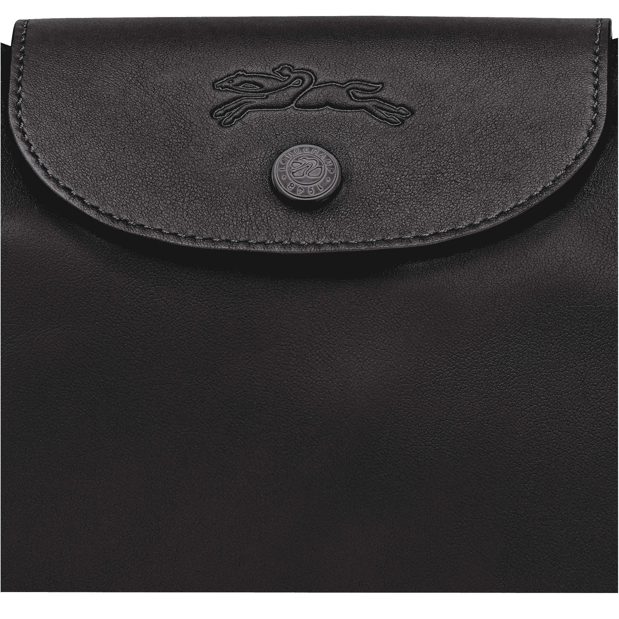 Le Pliage Xtra L Shoulder bag
