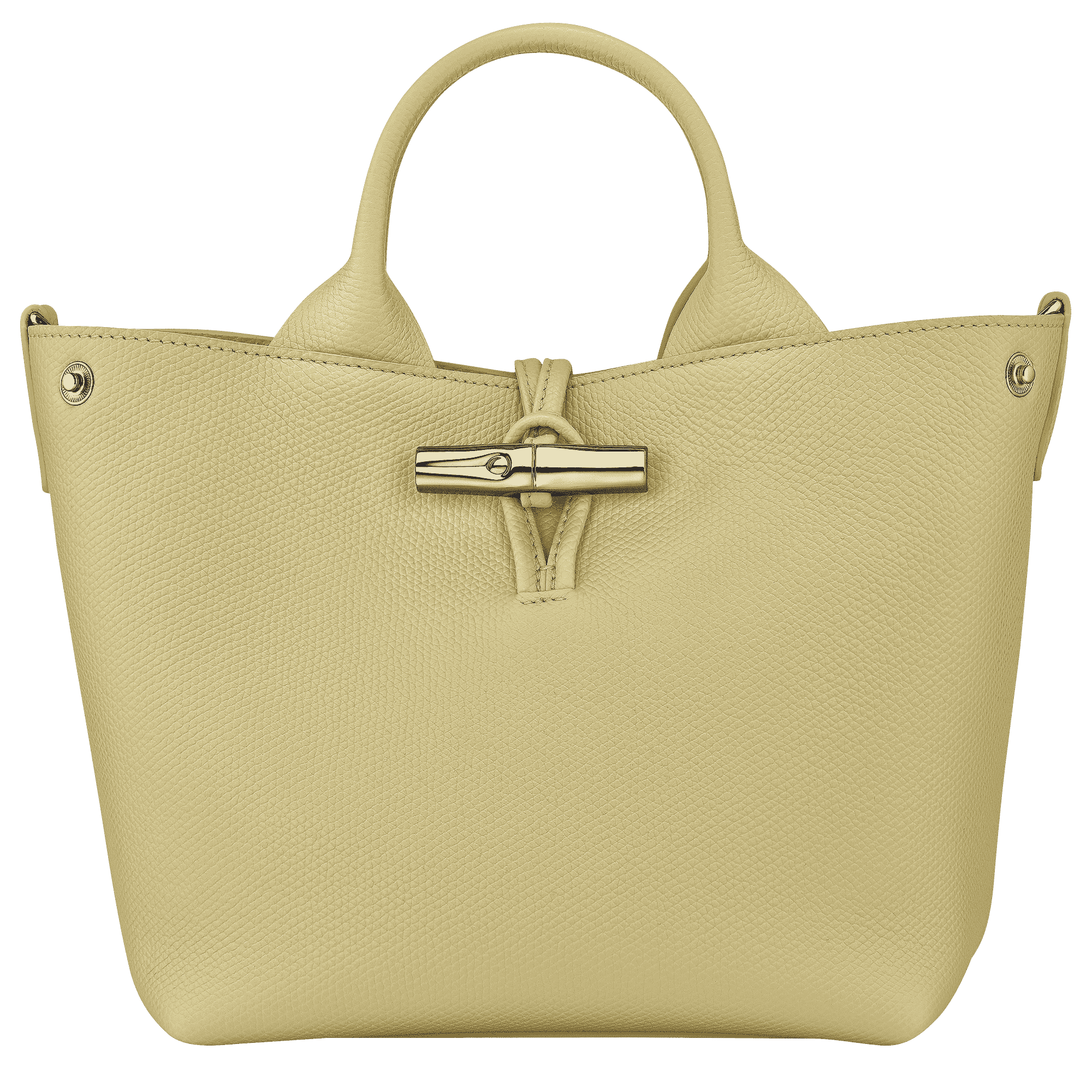 Le Roseau S Handbag