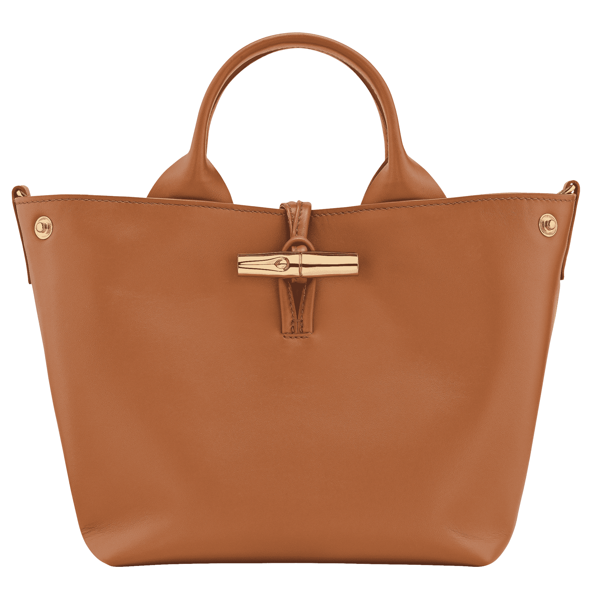 Le Roseau S Handbag