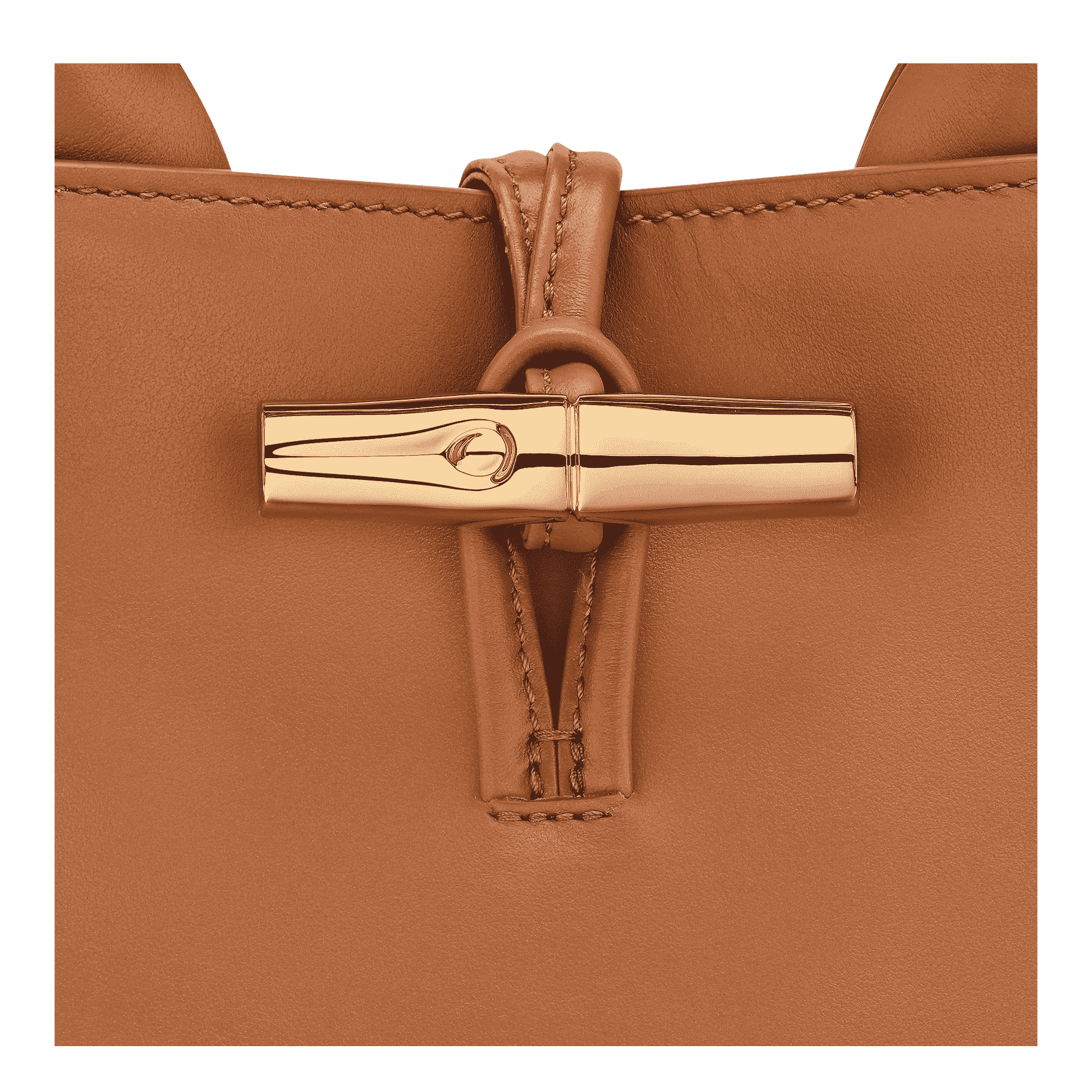 Le Roseau S Handbag