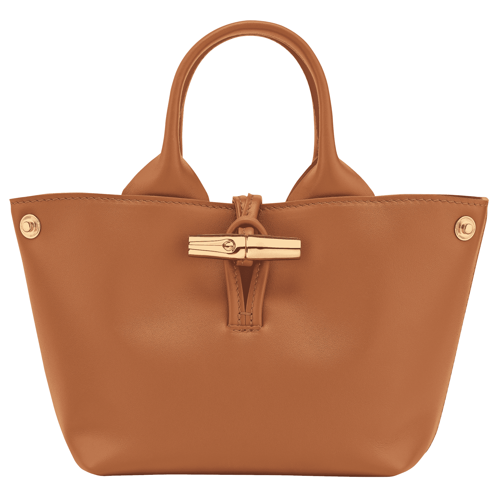 Le Roseau XS Handbag